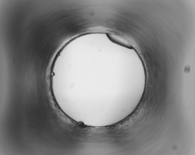 X0000103461008200810031454