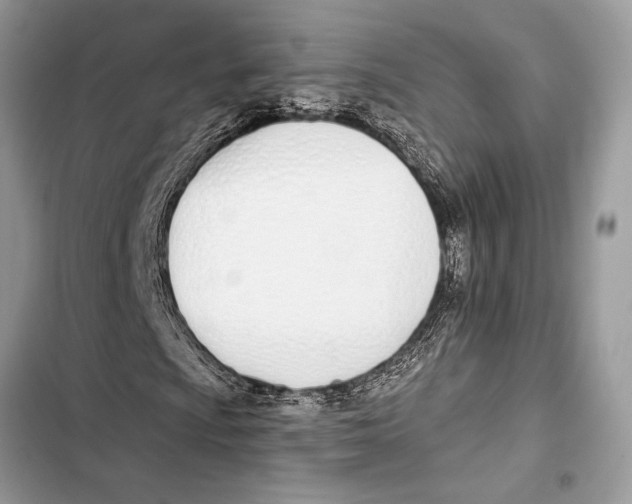 X0000103461009200810031453