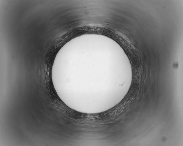 X0000103461013200810031453