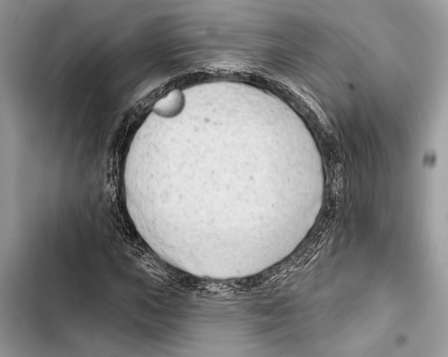 X0000103461015200810031453