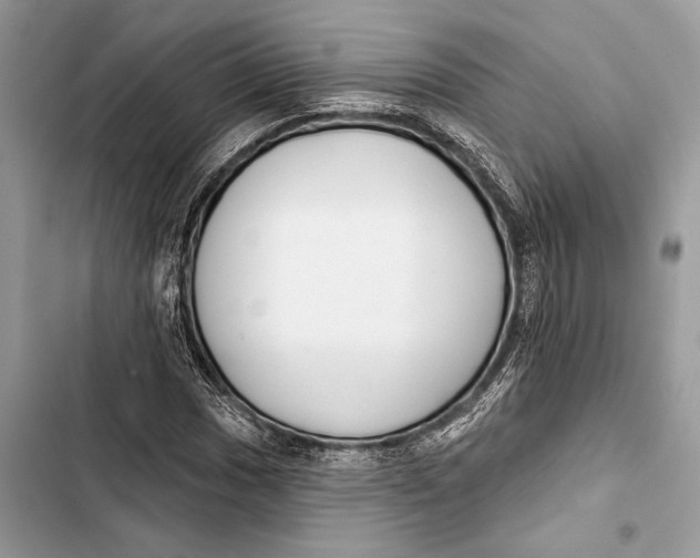 X0000103461017200810031453