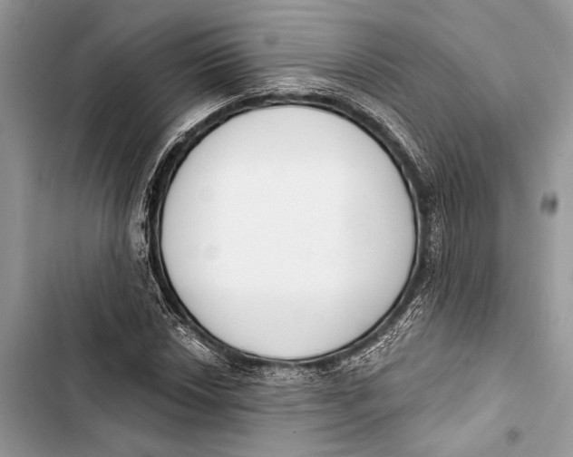 X0000103461018200810031453