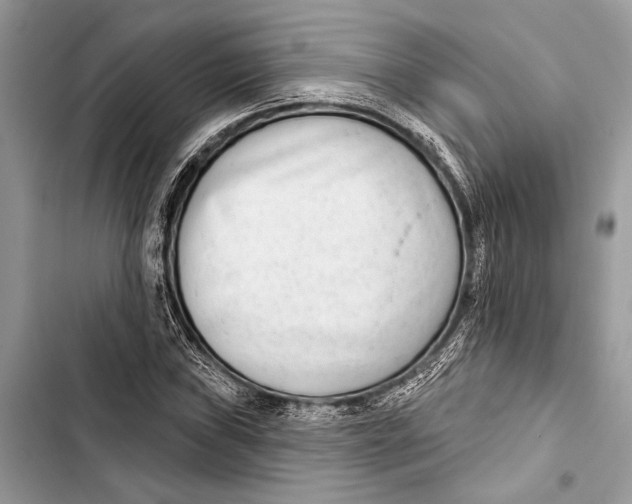 X0000103461019200810031453