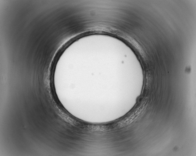 X0000103461020200810031453