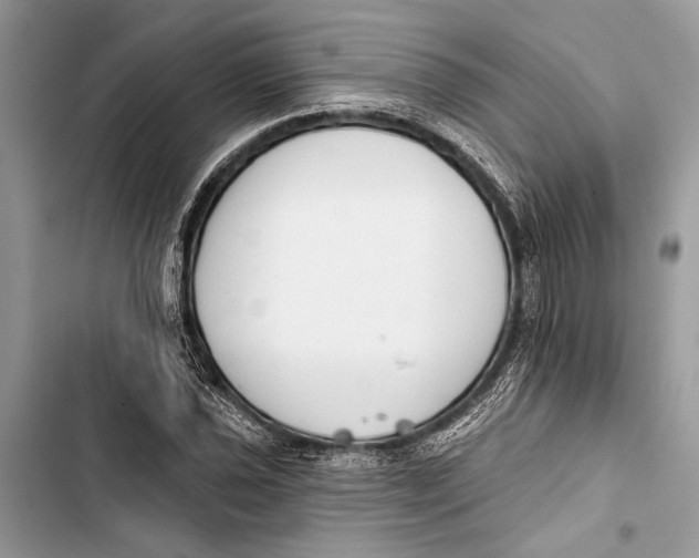 X0000103461021200810031453