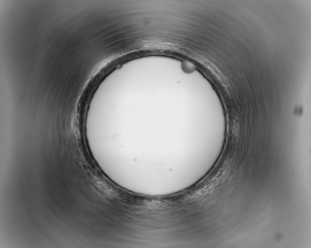 X0000103461022200810031453