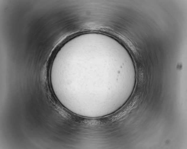 X0000103461023200810031453