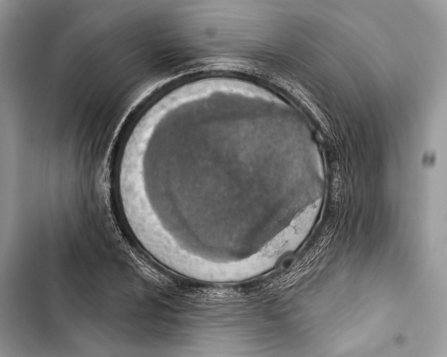 X0000103461024200810031453