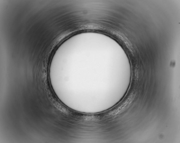 X0000103461025200810031453