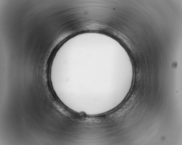 X0000103461026200810031453