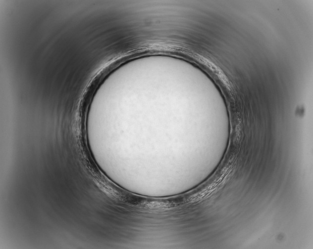 X0000103461027200810031453