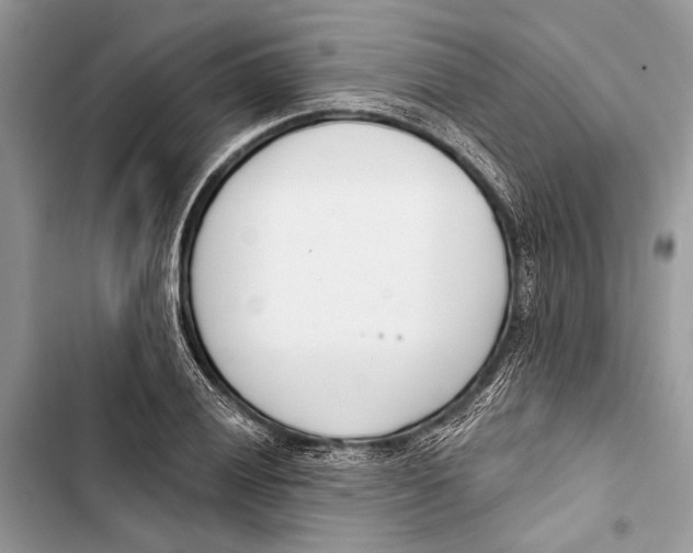 X0000103461028200810031453