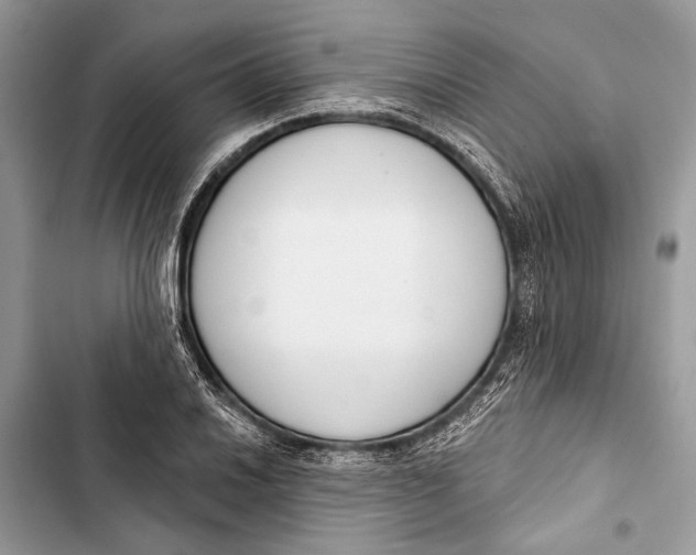 X0000103461030200810031453