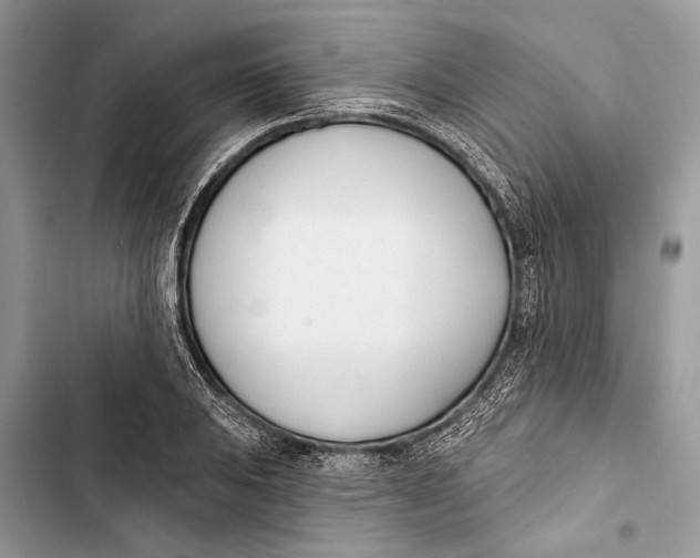 X0000103461031200810031453