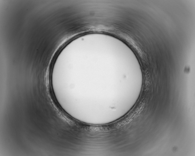 X0000103461032200810031453