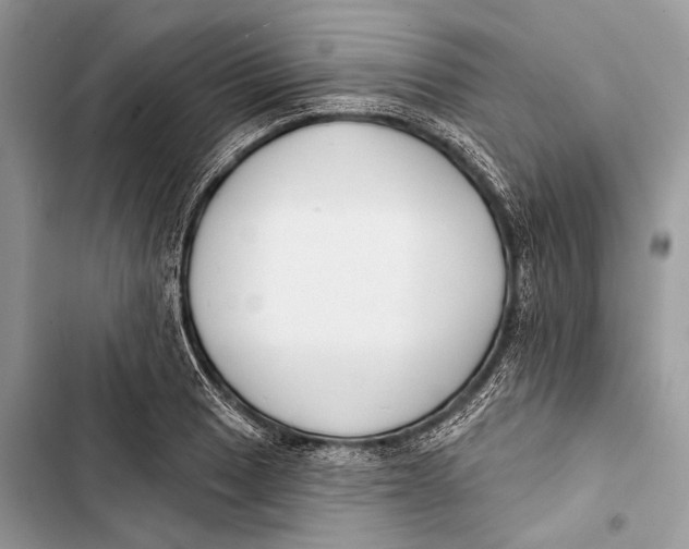 X0000103461033200810031453