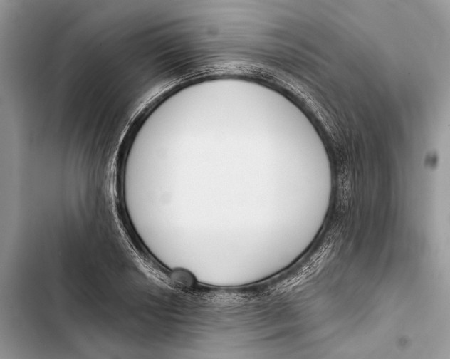 X0000103461034200810031453