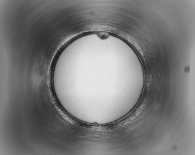 X0000103461037200810031453