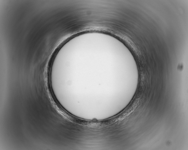 X0000103461038200810031453