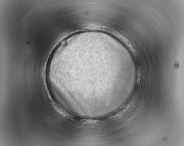 X0000103461039200810031453