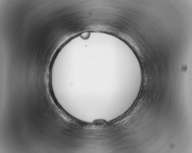 X0000103461040200810031453