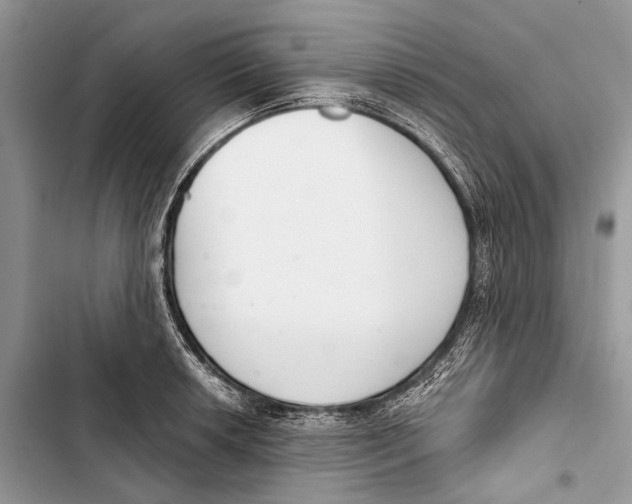 X0000103461042200810031453