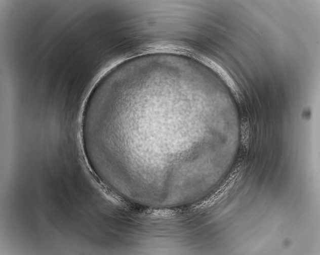 X0000103461043200810031453