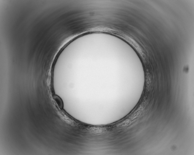 X0000103461044200810031453