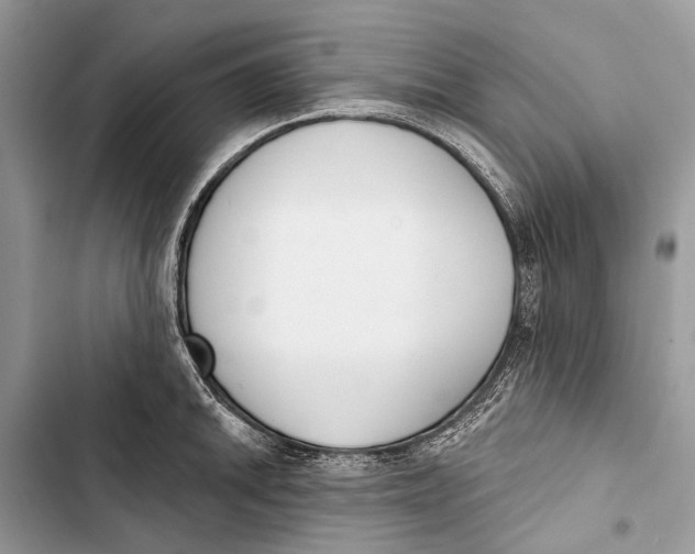 X0000103461046200810031453