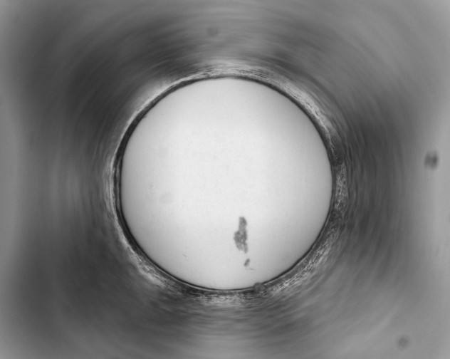 X0000103461047200810031453