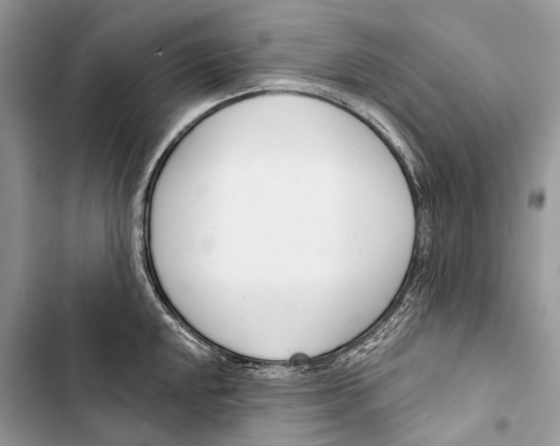 X0000103461048200810031453