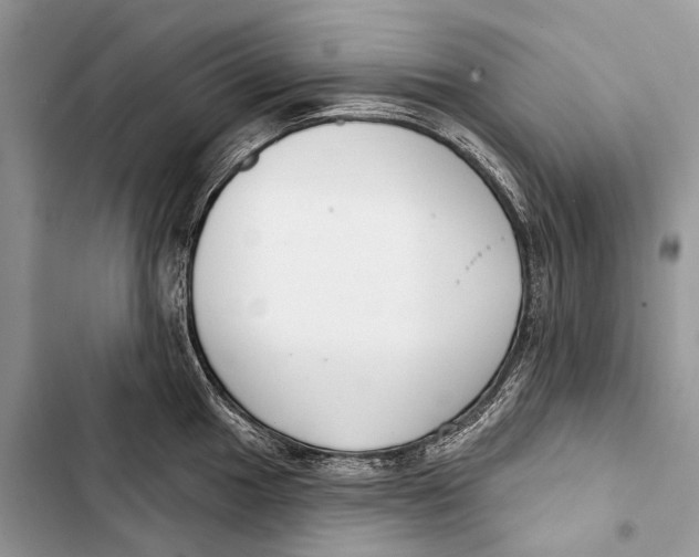 X0000103461049200810031453