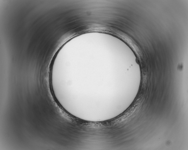 X0000103461050200810031453