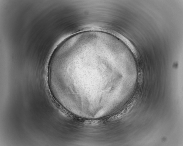 X0000103461051200810031453