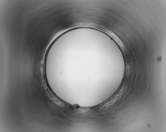 X0000103461052200810031453