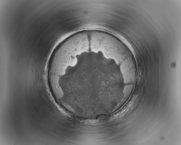 X0000103461053200810031453