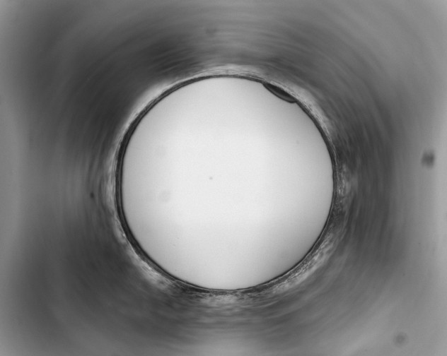 X0000103461054200810031453