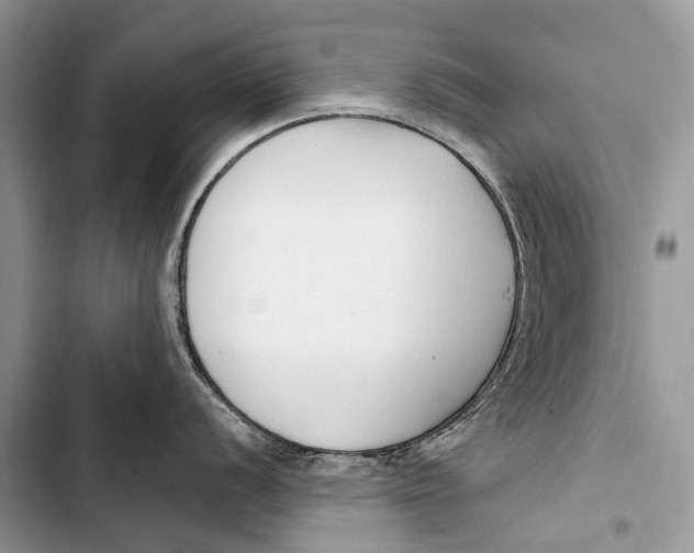 X0000103461056200810031454