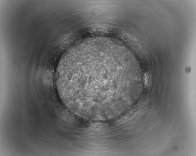 X0000103461059200810031453