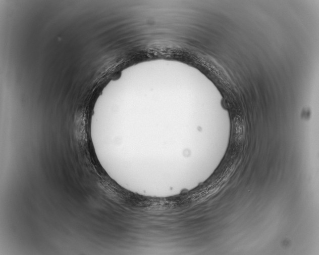 X0000103461060200810031453