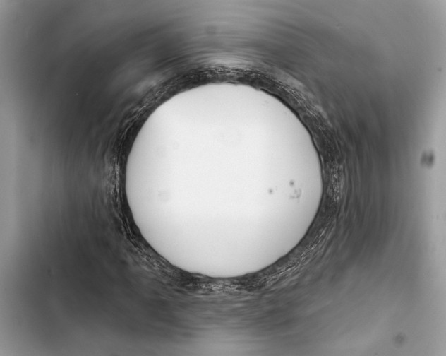 X0000103461061200810031453