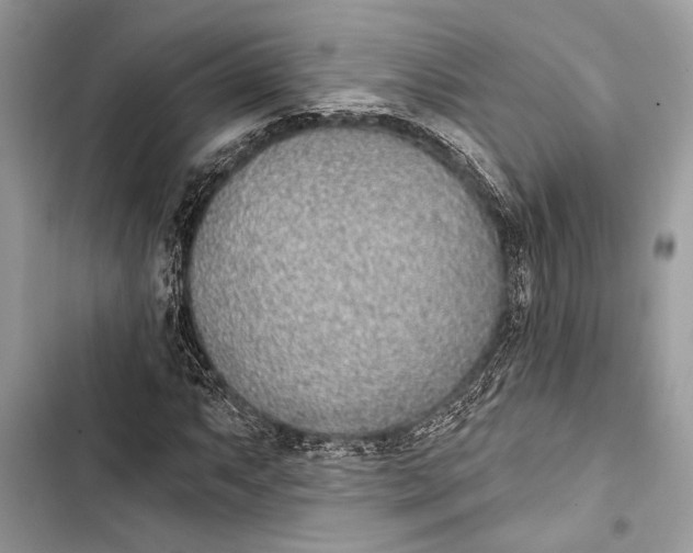 X0000103461063200810031453