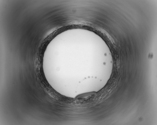 X0000103461064200810031453