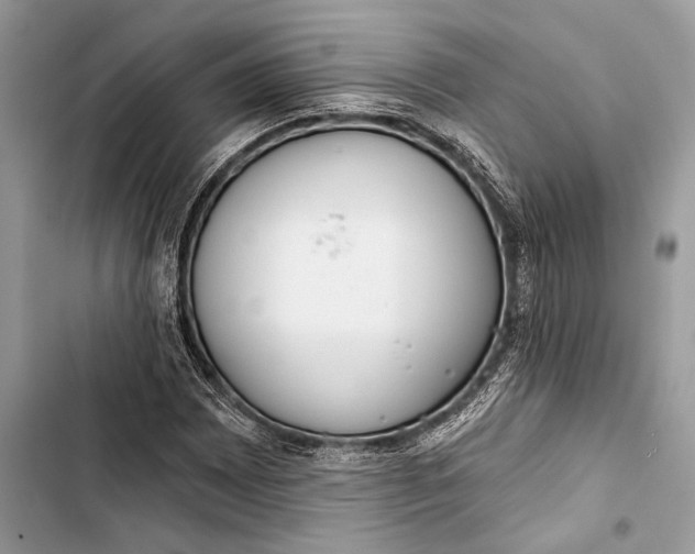 X0000103461065200810031453