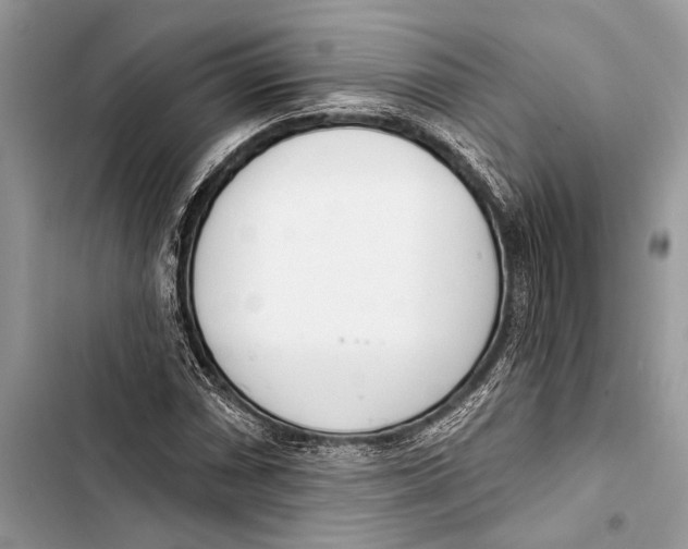 X0000103461066200810031453