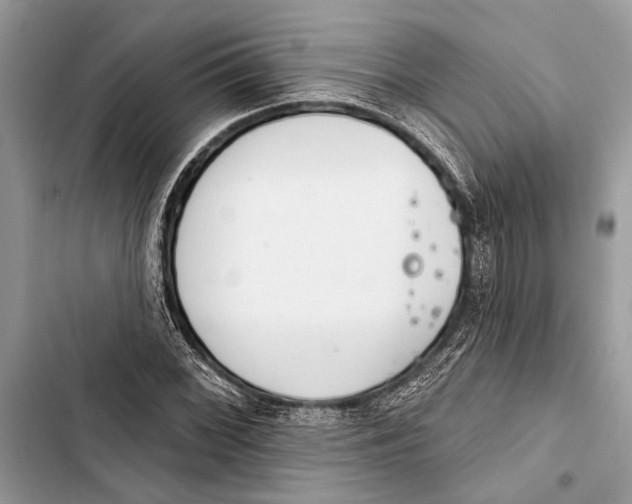 X0000103461068200810031453