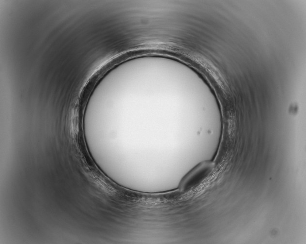 X0000103461069200810031453