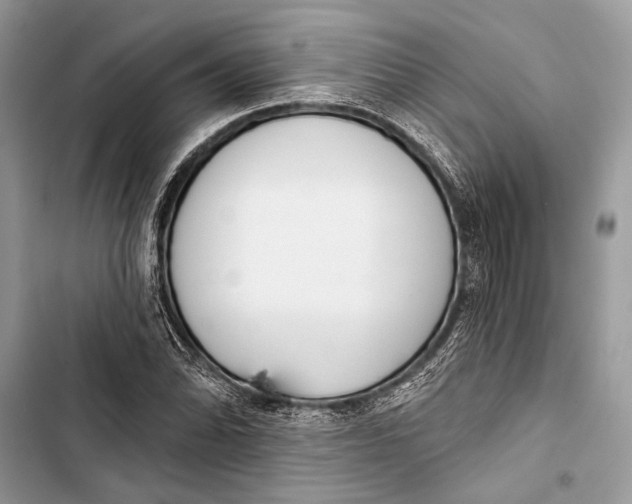 X0000103461070200810031453