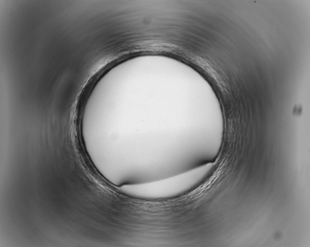 X0000103461071200810031453