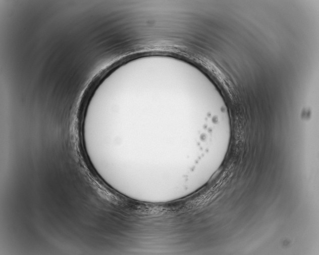 X0000103461072200810031453